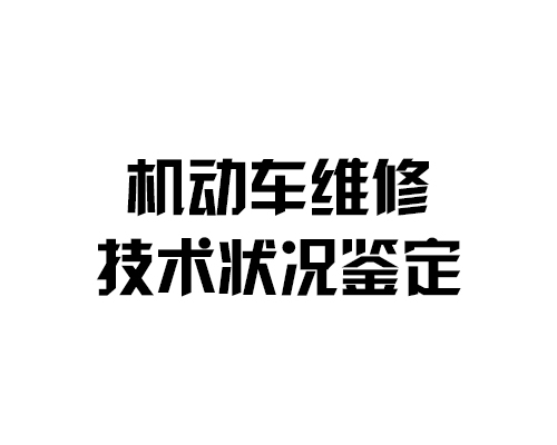 机动车维修技术状况鉴定